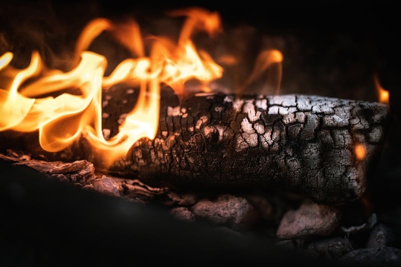 Campfire BBQ