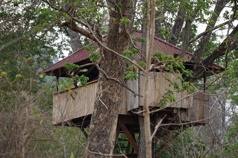 Treehouse in nature landscape